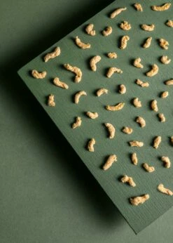 Feines Bio Soja Geschnetzeltes 1 Kg -CEREALS HOUSE Geschaft SOJA 001 03gDidx19gPoOrL