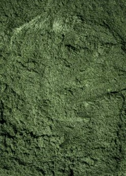 Bio Spirulina Pulver 500 G