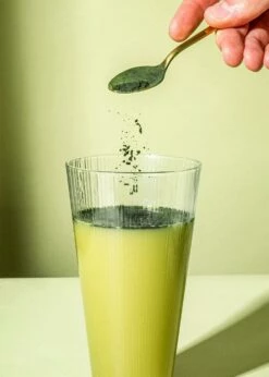 Bio Spirulina Pulver 500 G -CEREALS HOUSE Geschaft SPI 004 05