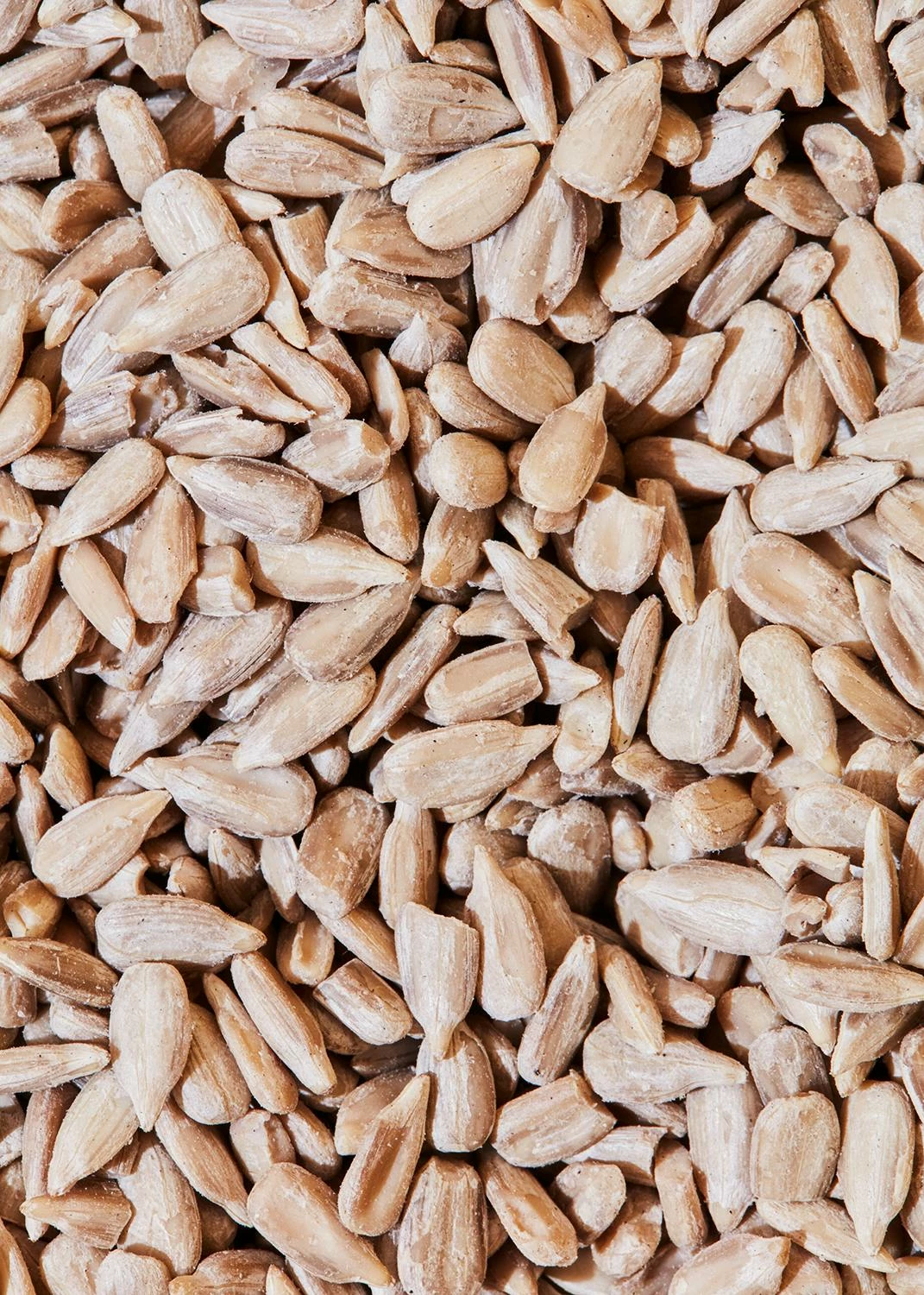 Bio Sonnenblumenkerne 2 Kg 3 Bio Sonnenblumenkerne 2 Kg