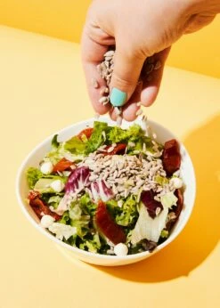 Bio Sonnenblumenkerne 2 Kg 8 Bio Sonnenblumenkerne 2 Kg -CEREALS HOUSE Geschaft Sonnenblumenkerne 04