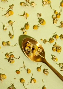 Ganze Bio Kamillenblüten 500 G