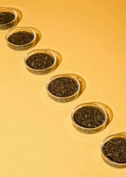 Geröstete Mateblätter 500 G -CEREALS HOUSE Geschaft TEE 006 02RBKwa9X9VX9v5