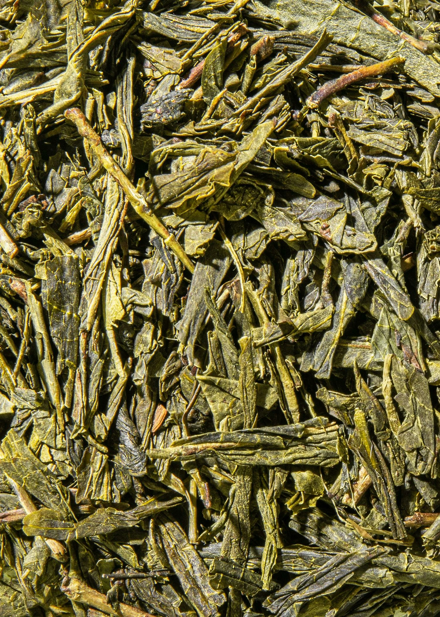 Bio Sencha Tee Aus China 1 Kg 3 Bio Sencha Tee Aus China 1 Kg