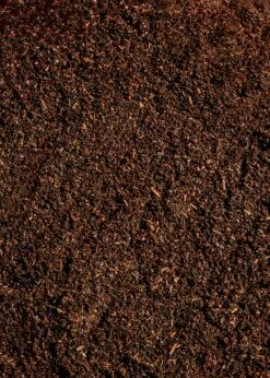 Bourbon Vanillepulver 25 G