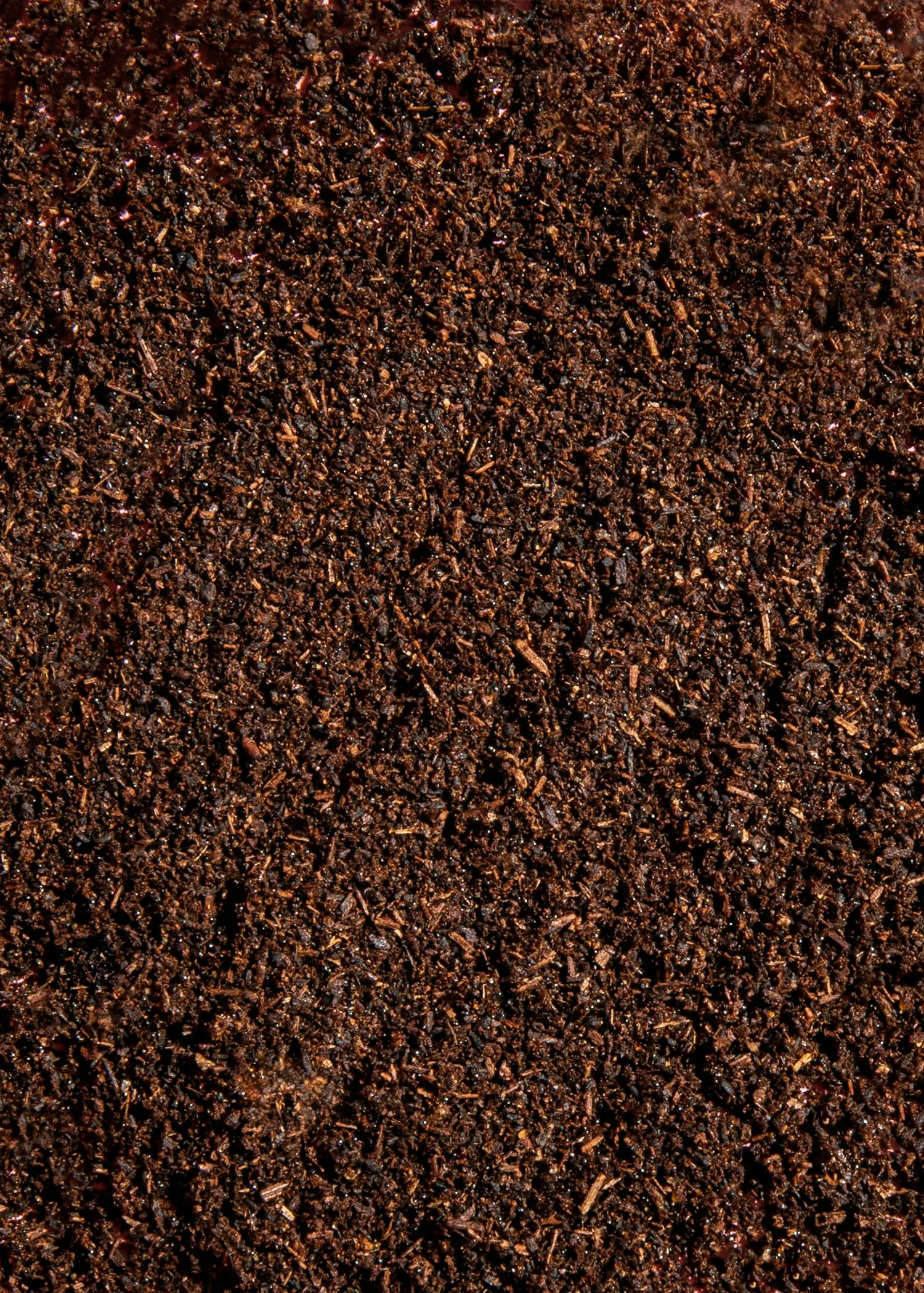 Bourbon Vanillepulver 25 G 3 Bourbon Vanillepulver 25 G