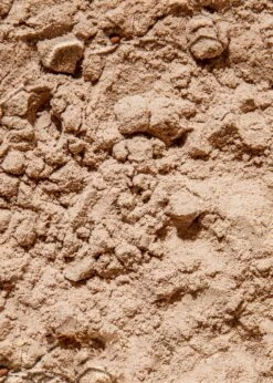 Veganes Proteinpulver Schokolade 1 Kg