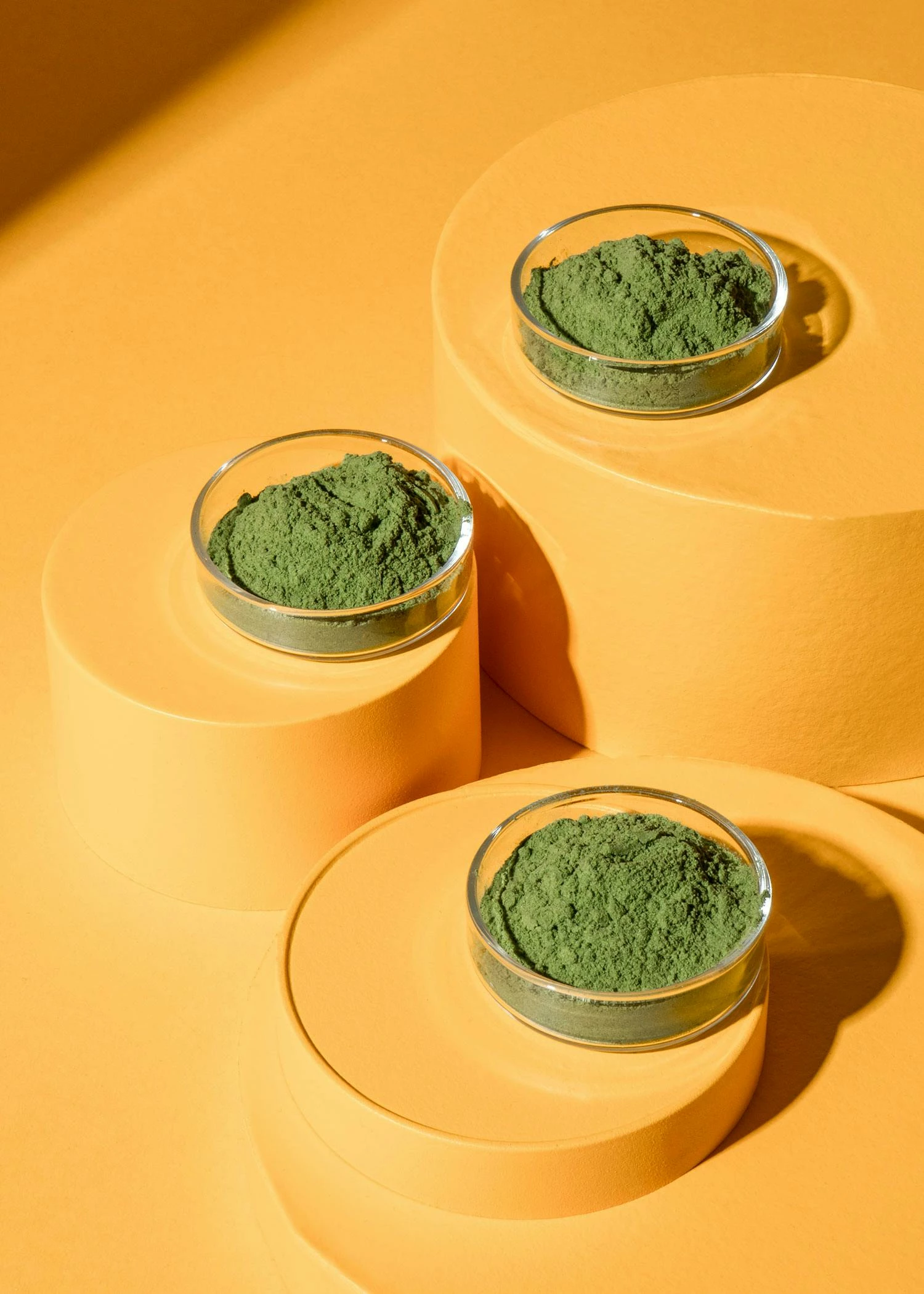 Bio Weizengras Pulver 500 G 5 Bio Weizengras Pulver 500 G – Bild 3